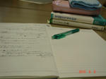DSC05938.JPG