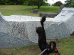 DSC05950.JPG
