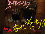 DSC05980.JPG