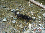 DSC05992.JPG