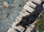 DSC05990.JPG