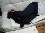 DSC06015.JPG