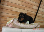 DSC06041.JPG