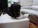 DSC06146.JPG