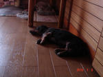 DSC06034.JPG