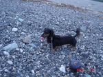 DSC06261.JPG