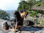 DSC01822.JPG