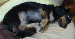 DSC06300.JPG