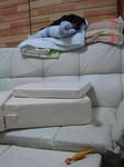 DSC06304.JPG