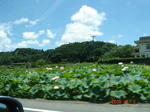 DSC06294.JPG