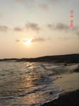 DSC06399.JPG