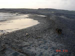 DSC06400.JPG