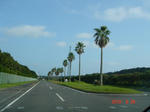 DSC06401.JPG