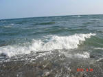 DSC06403.JPG