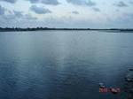 DSC06407.JPG