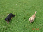 DSC06457.JPG