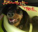 DSC06609.JPG