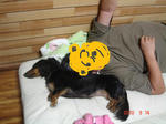 DSC06538.JPG