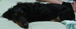 DSC06645.JPG