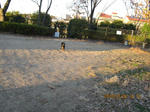 IMG_1170.JPG