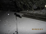 IMG_1779.JPG