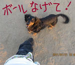 IMG_1796.JPG