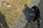 IMG_2157.JPG