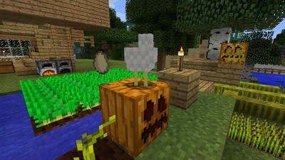 箱版マインクラフトでファイル破損 仮想カメラマンが行く ゲームのある生活
