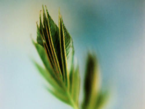 20100101.jpg