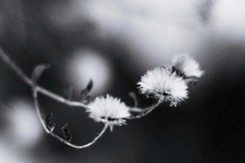 20100207.jpg
