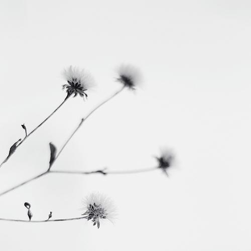 20100208.jpg