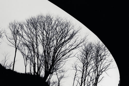 20100209.jpg