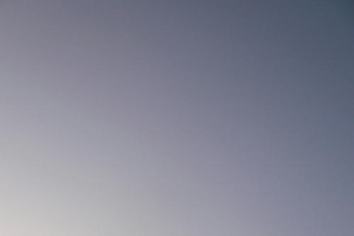 20100327.jpg