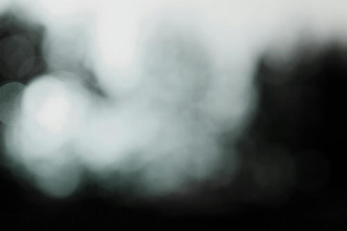 20100329.jpg