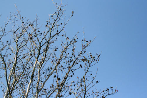 20100416.jpg