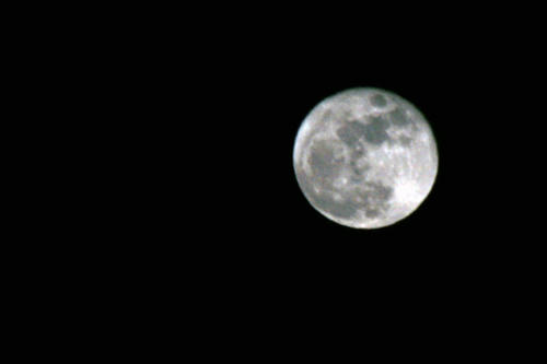 20100501.jpg
