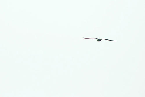 20100509.jpg