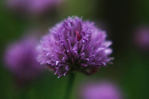 20100523.jpg