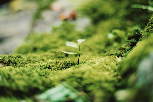 20100602.jpg