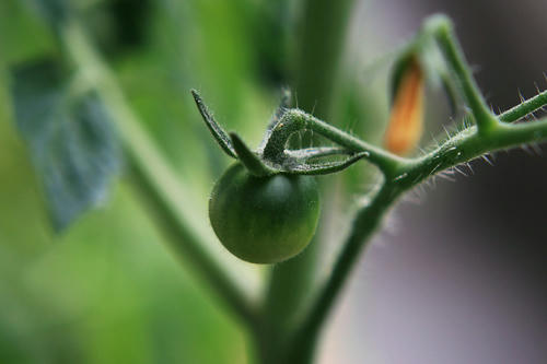 20100620.jpg