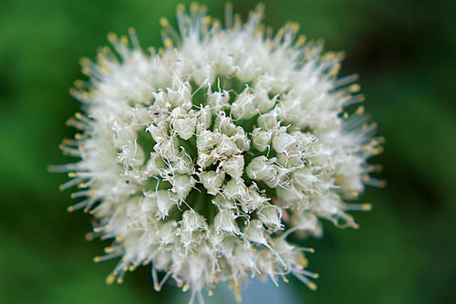 20100713_1.jpg