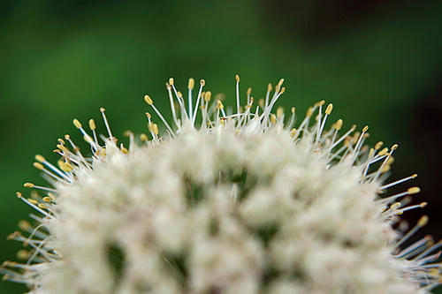 20100713_2.jpg