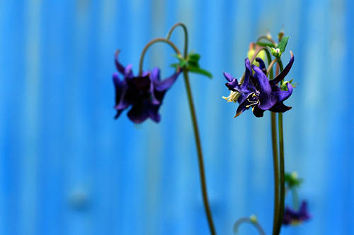 20100716.jpg