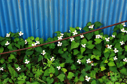 20100722.jpg