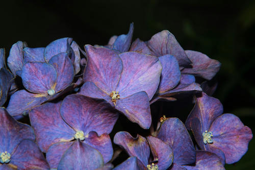 20100806_1.jpg