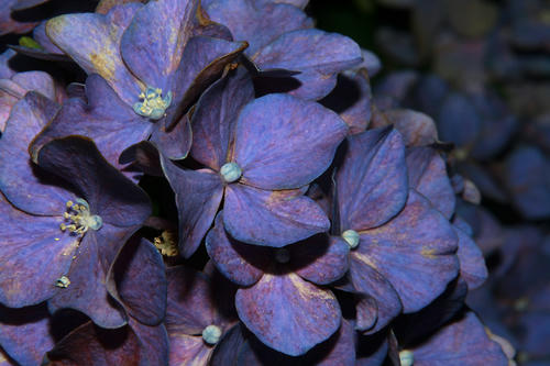 20100806_2.jpg