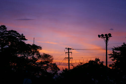 20100816.jpg