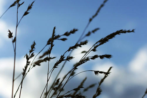 20100907.jpg