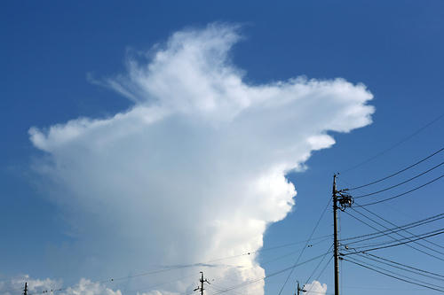20100918.jpg