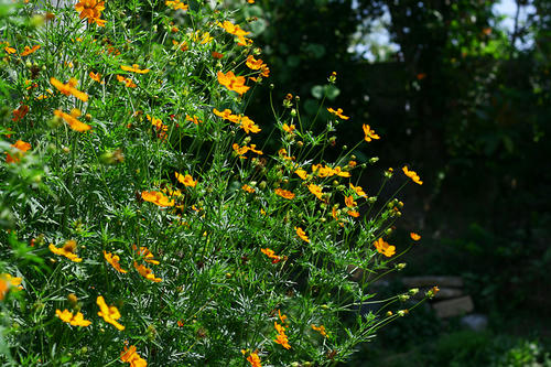 20100929.jpg